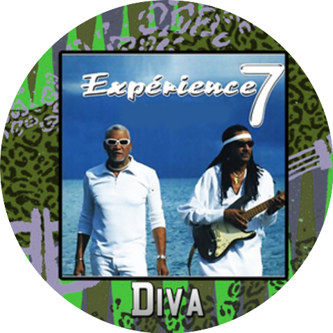 Expérience 7