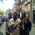 Malawi Mouse Boys