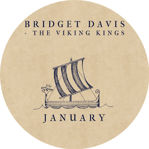 Bridget Davis and the Viking Kings