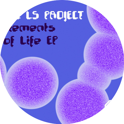 The L.S. Project
