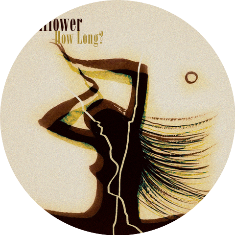 Wallflower