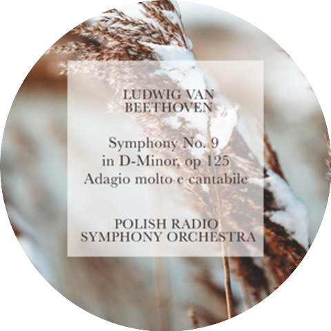 Polish Radio Symphony Orchestra