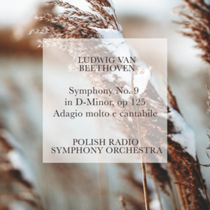 Polish Radio Symphony Orchestra