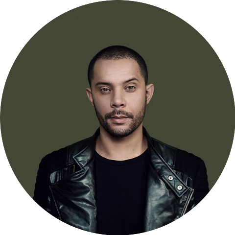 Wildstylez