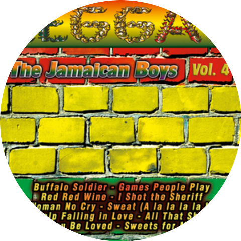 The Jamaican Reggae Band