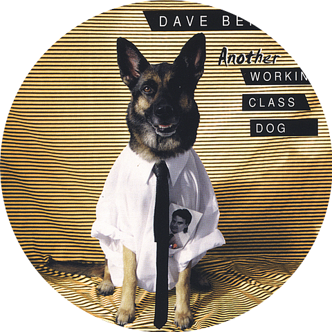Dave Benziger