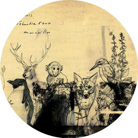 Greg Davis, Sébastien Roux