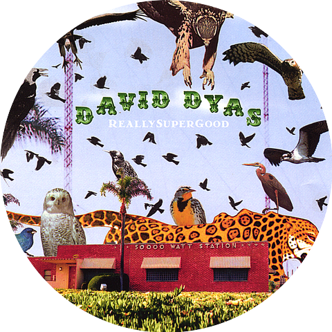 David Dyas