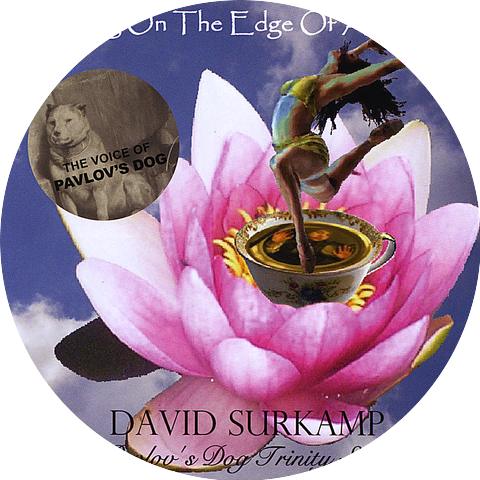 David Surkamp