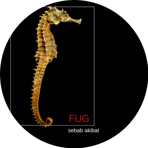 Fu-G