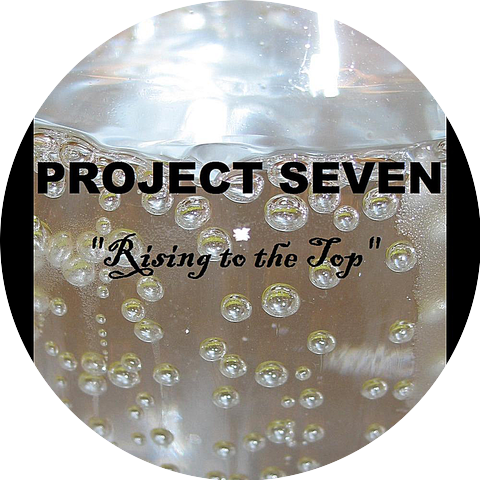 The Project Seven