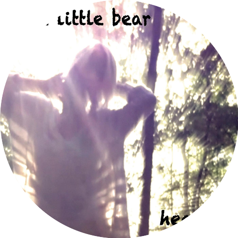 the Little Bear