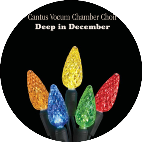 Cantus Vocum Chamber Choir