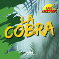 Los Condor's