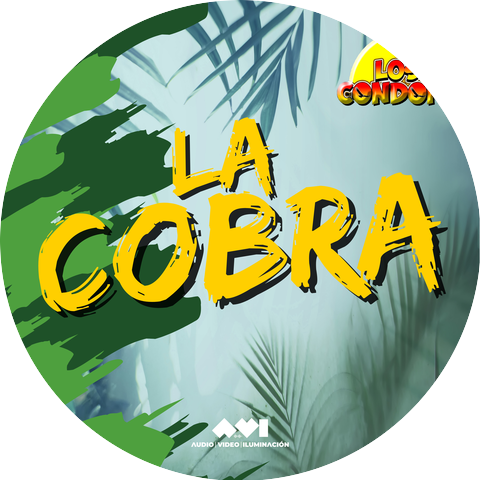 Los Condor's