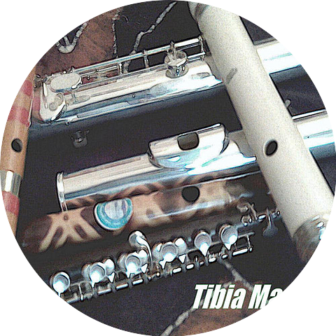 Tibia Magna