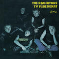 The Radiators From Space