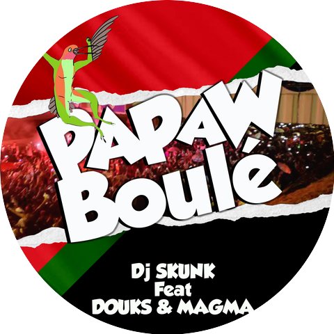 DJ Skunk