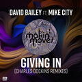 David M. Bailey