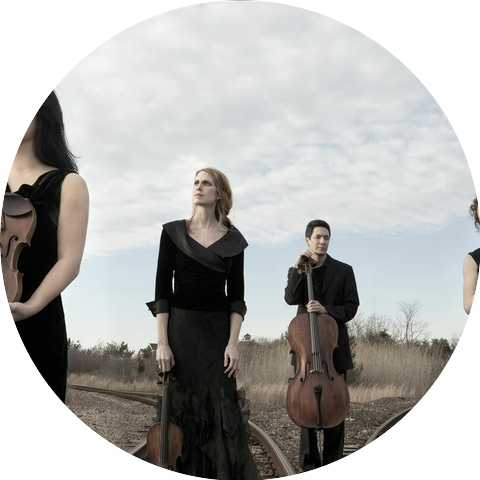 Daedalus Quartet