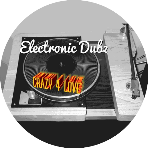 Electronic Dubz