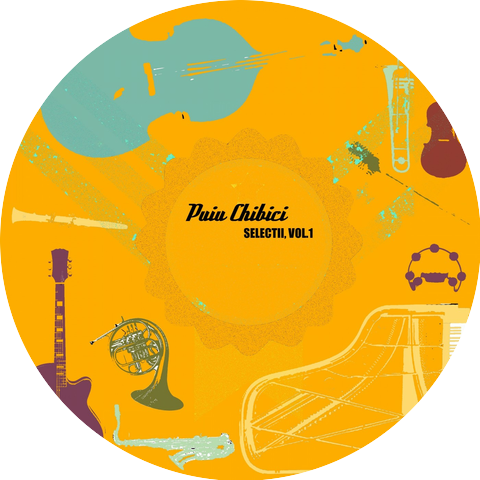 Puiu Chibici