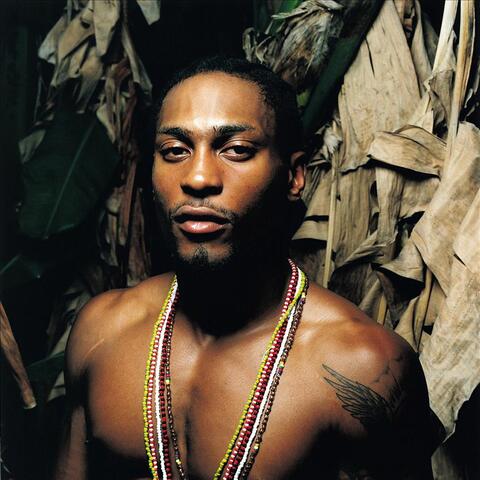 D'Angelo