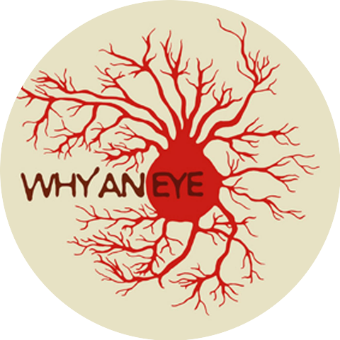 Why an Eye