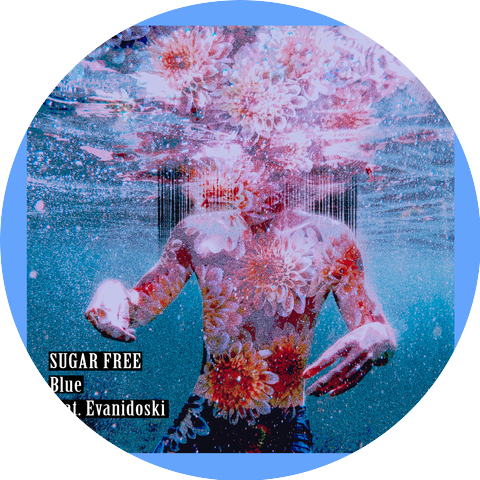 Sugar Free