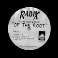 RADIx (Quite Nyce and SEEK)