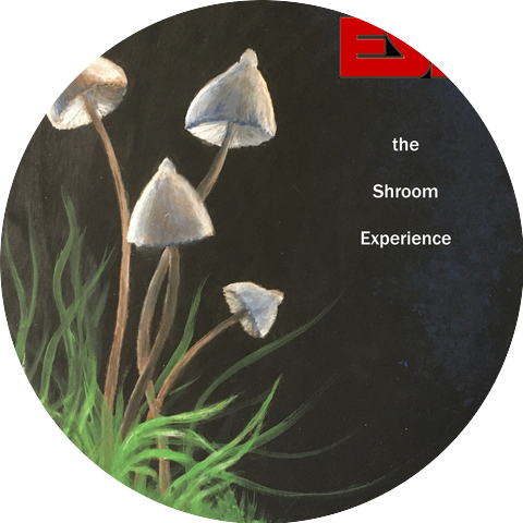 Entheogenic Sound Explorers