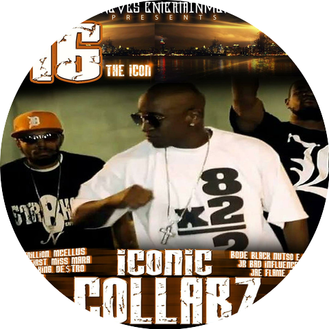 16 The Icon