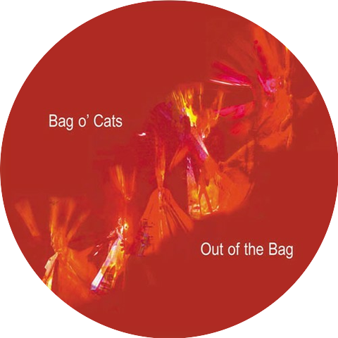 Bag O’Cats