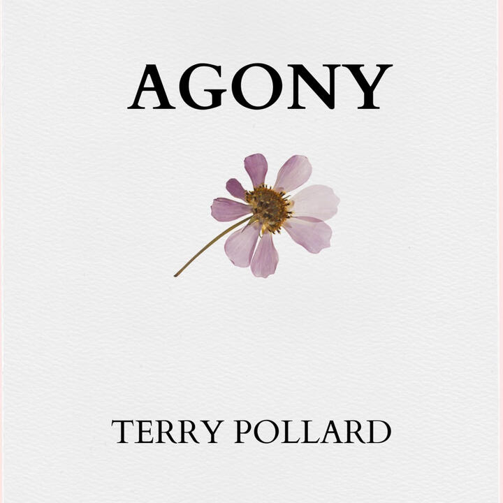 Terry Pollard