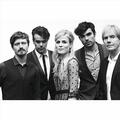 The Common Linnets