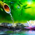 Soothing Sounds