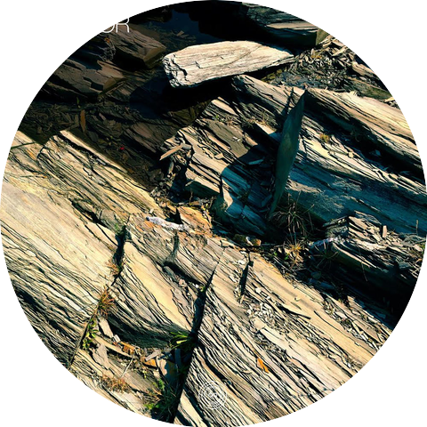 Seafloor