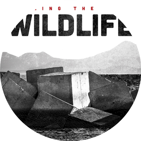 Wild Life