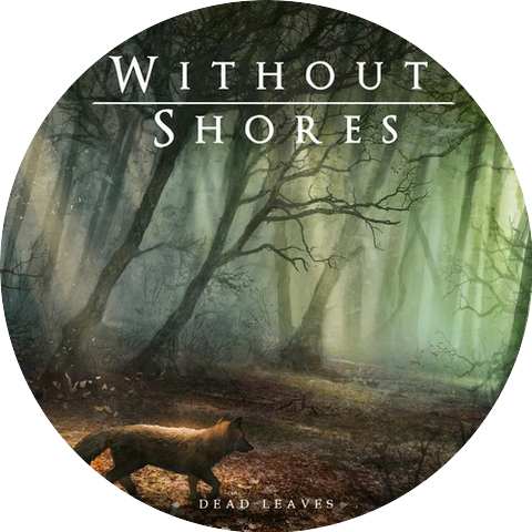 Without Shores