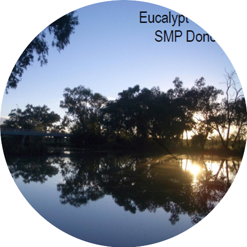 SMP Donovan