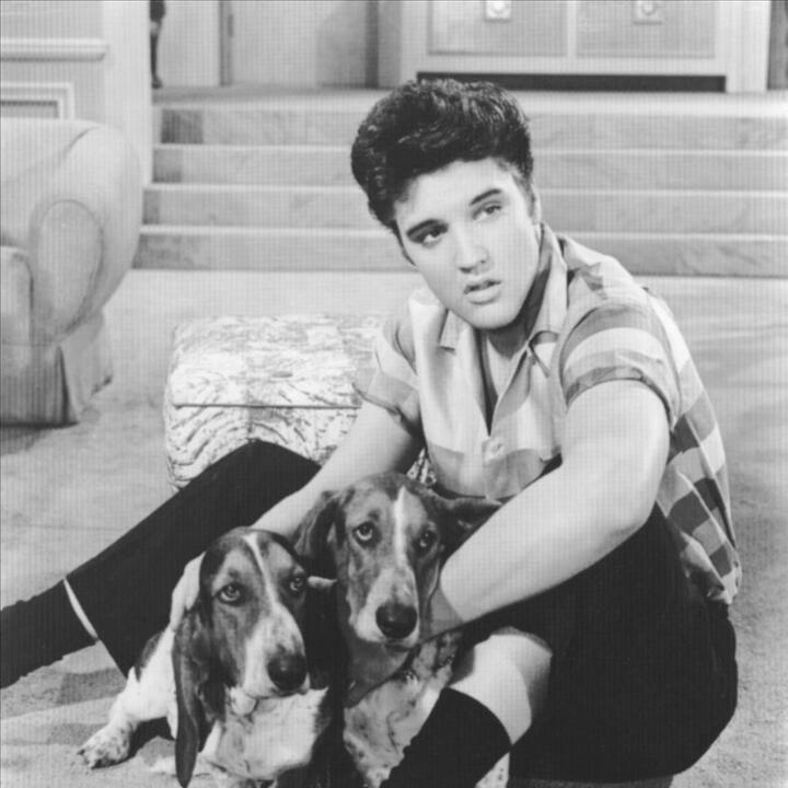 Elvis Presley vs. JXL