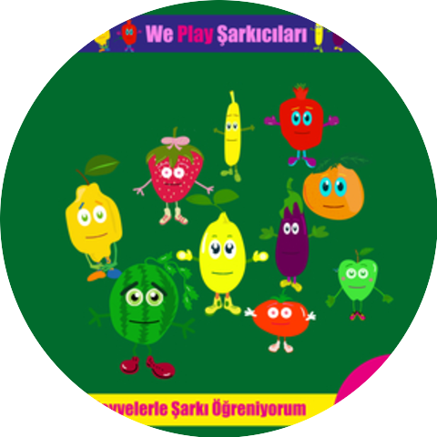 We Play Şarkıcıları