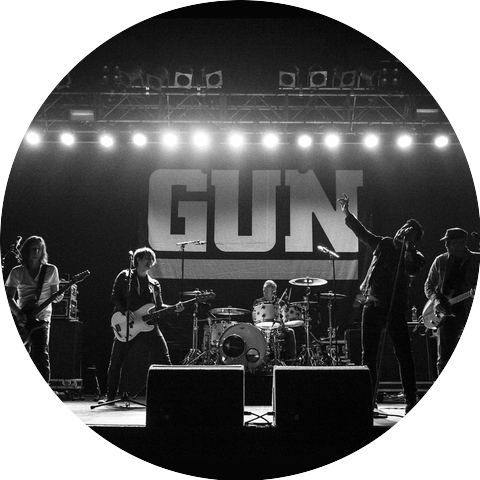 Gun