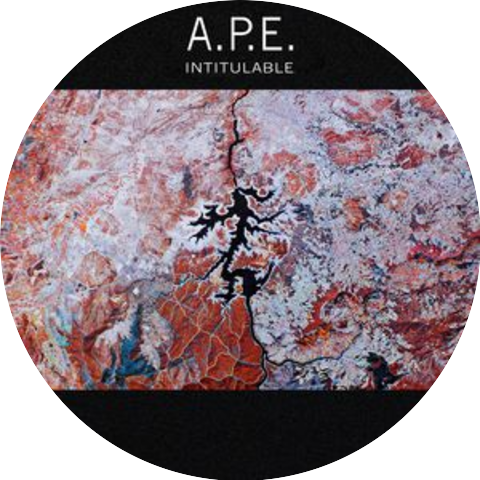 A.P.E.