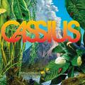 Cassius