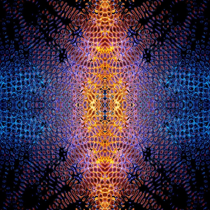 Complex
