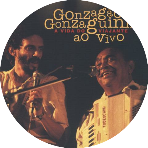 Gonzaguinha;Luiz Gonzaga