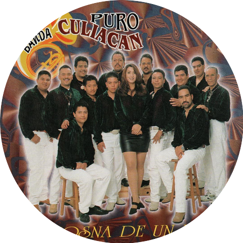Banda Puro Culiacan