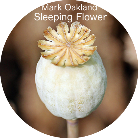 Mark Oakland