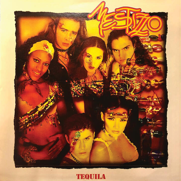 Mestizzo